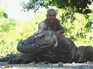 komodo